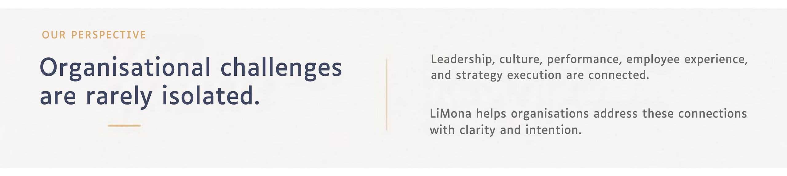 Limona Website Banner - hOME (12).png